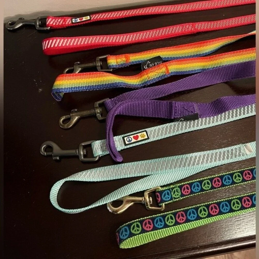 Pawtitas Red Reflective Traffic Dog Leash XS/Small bundle set of 5